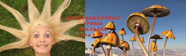 таблы Алзамай