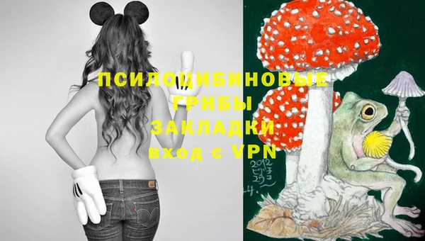 твердый Алексеевка
