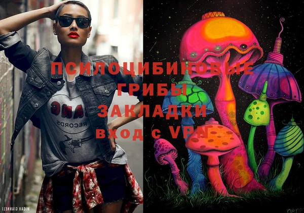 твердый Алексеевка